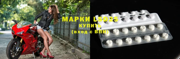 спиды Ельня