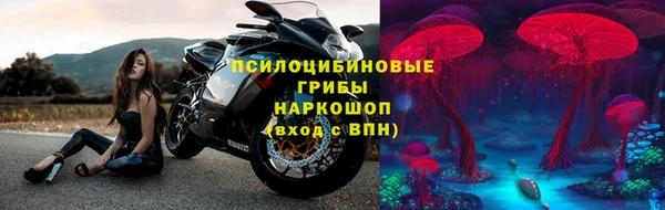 стаф Дмитров