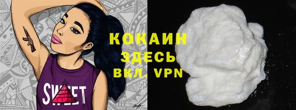 винт Дмитриев