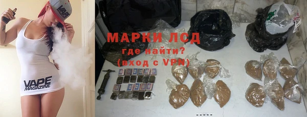 спиды Ельня