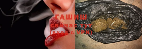 стаф Дмитров