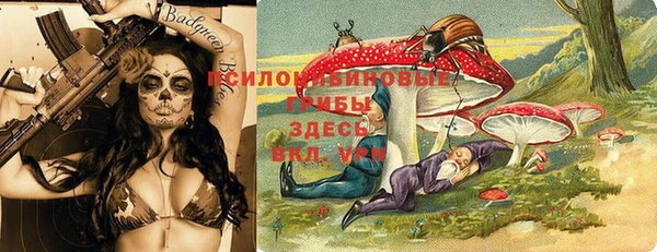 дмт Дмитровск
