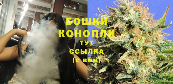 дмт Дмитровск