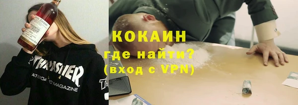 спиды Ельня