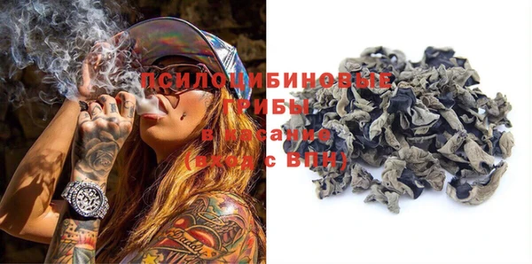 винт Дмитриев