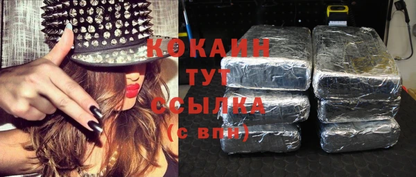 винт Дмитриев