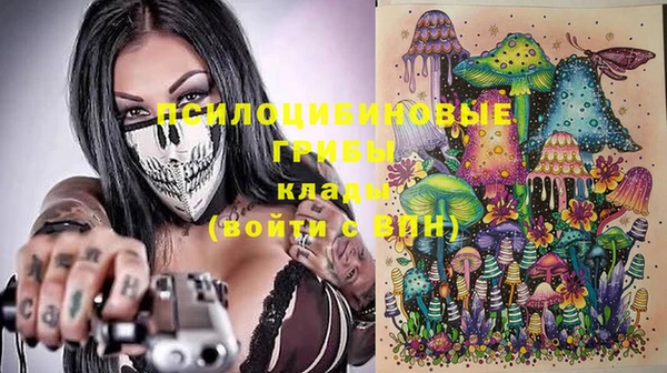 спиды Ельня