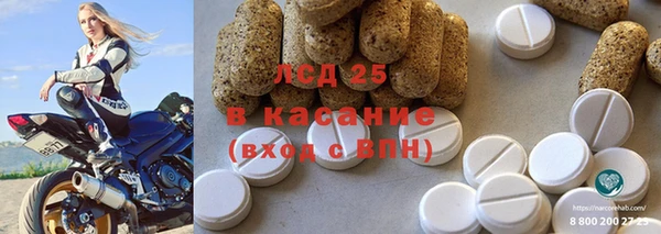 спиды Ельня