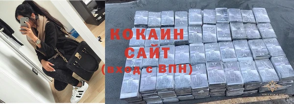 винт Дмитриев