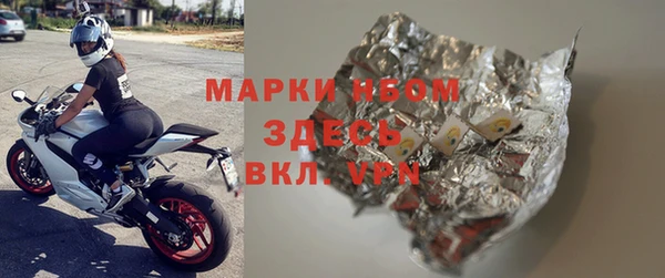 стаф Дмитров