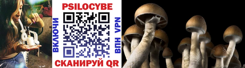Галлюциногенные грибы мицелий  Купить где  Игарка 